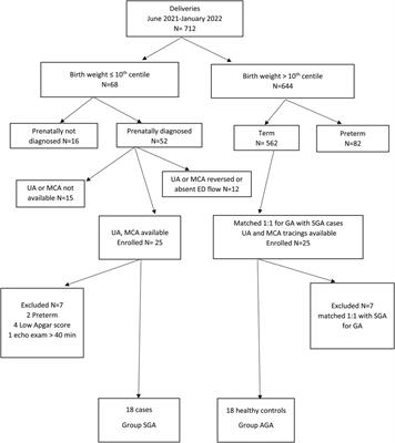 Comparative evaluation of echocardiography indices during the transition to extrauterine life between small and appropriate for gestational age infants